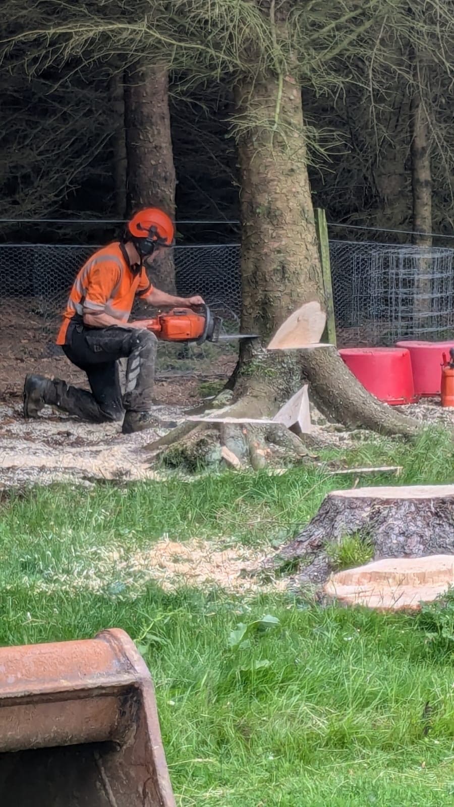 tree surgeon equipment